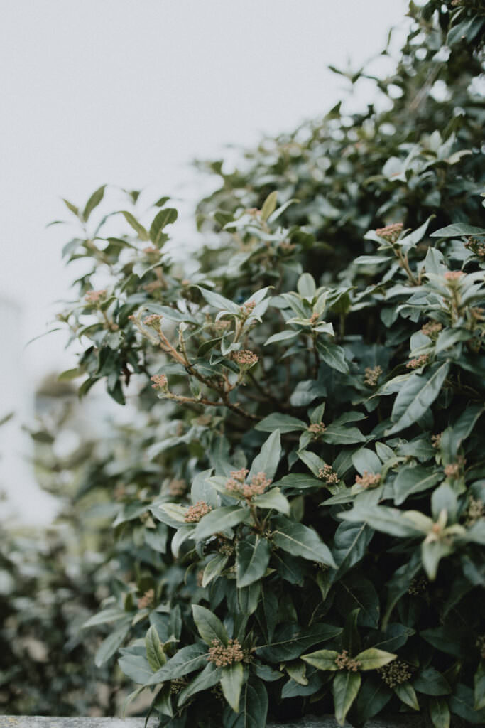 photographe mariage nantes-