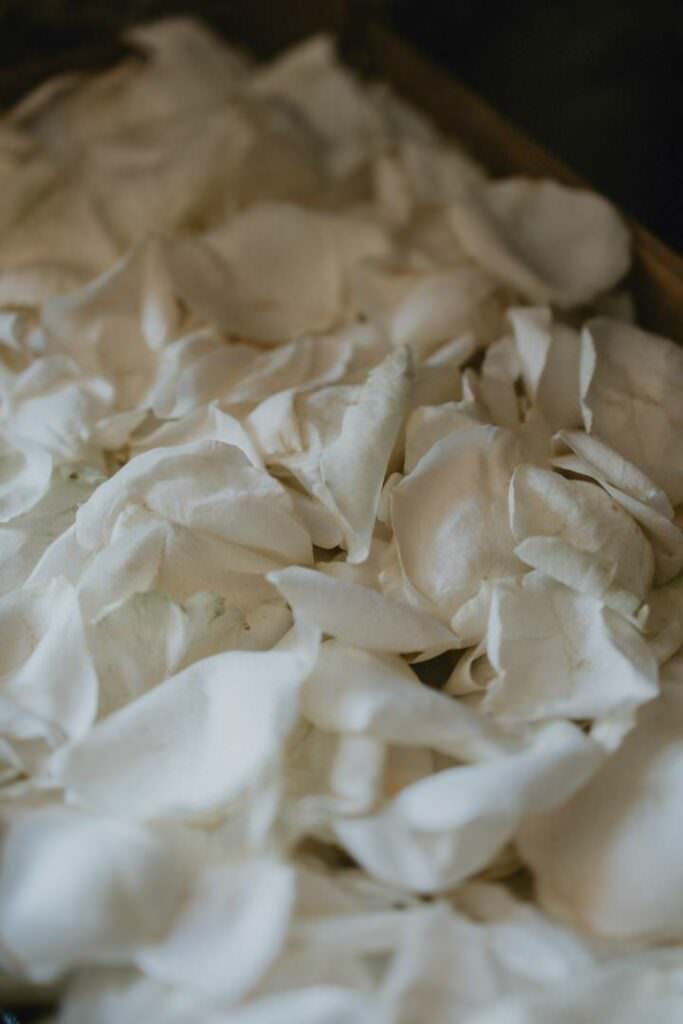 photographe mariage nantes-3293